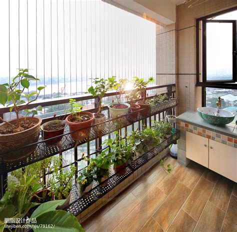 餐桌植物 大陽台
